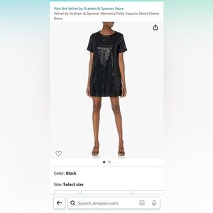 NWT Velvet by Graham & Spencer for Anthropologie Sequin S/S Dress size Large